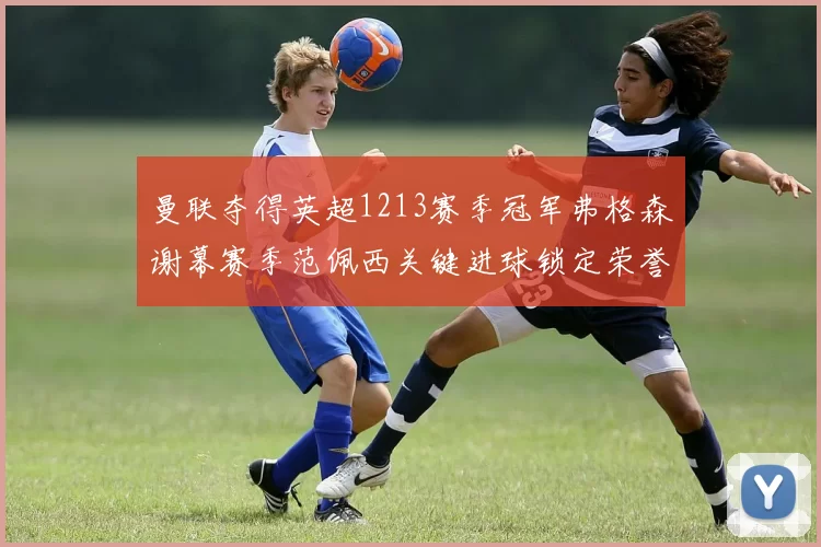 曼联夺得英超1213赛季冠军弗格森谢幕赛季范佩西关键进球锁定荣誉