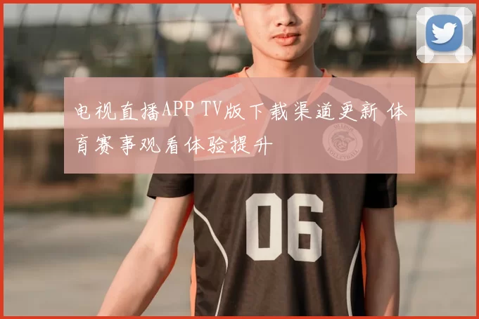 电视直播APP TV版下载渠道更新 体育赛事观看体验提升