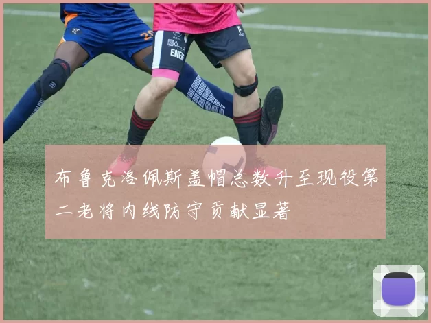 布鲁克洛佩斯盖帽总数升至现役第二老将内线防守贡献显著