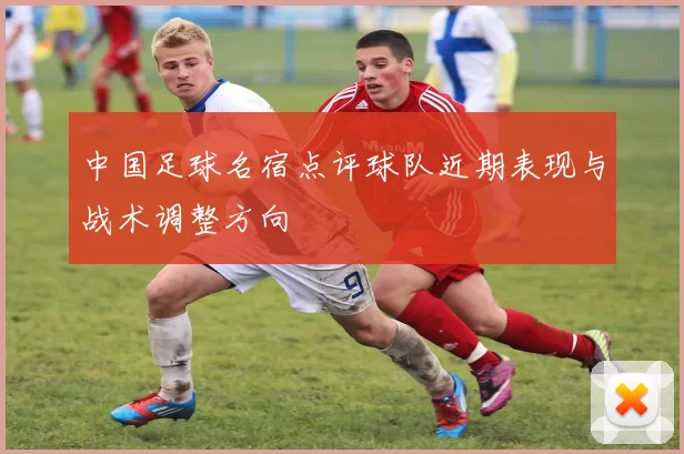 中国足球名宿点评球队近期表现与战术调整方向