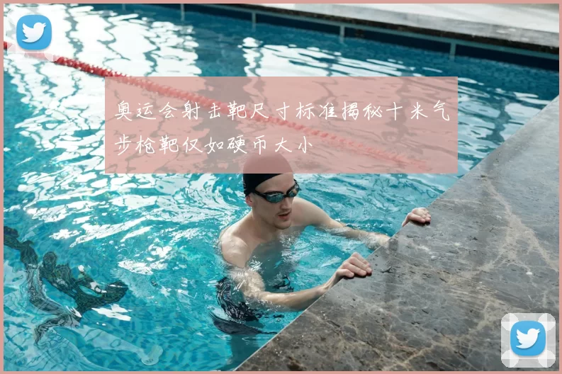 奥运会射击靶尺寸标准揭秘十米气步枪靶仅如硬币大小