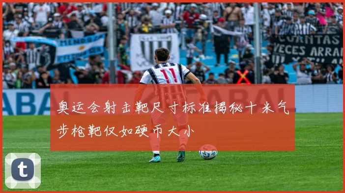 奥运会射击靶尺寸标准揭秘十米气步枪靶仅如硬币大小